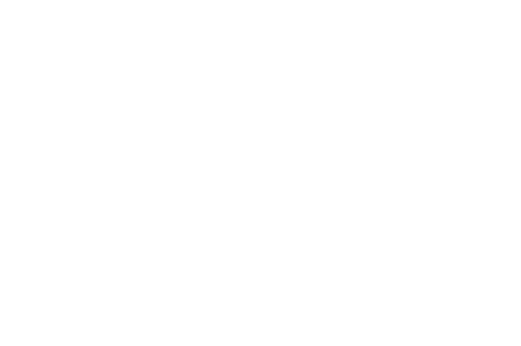 Festival 10