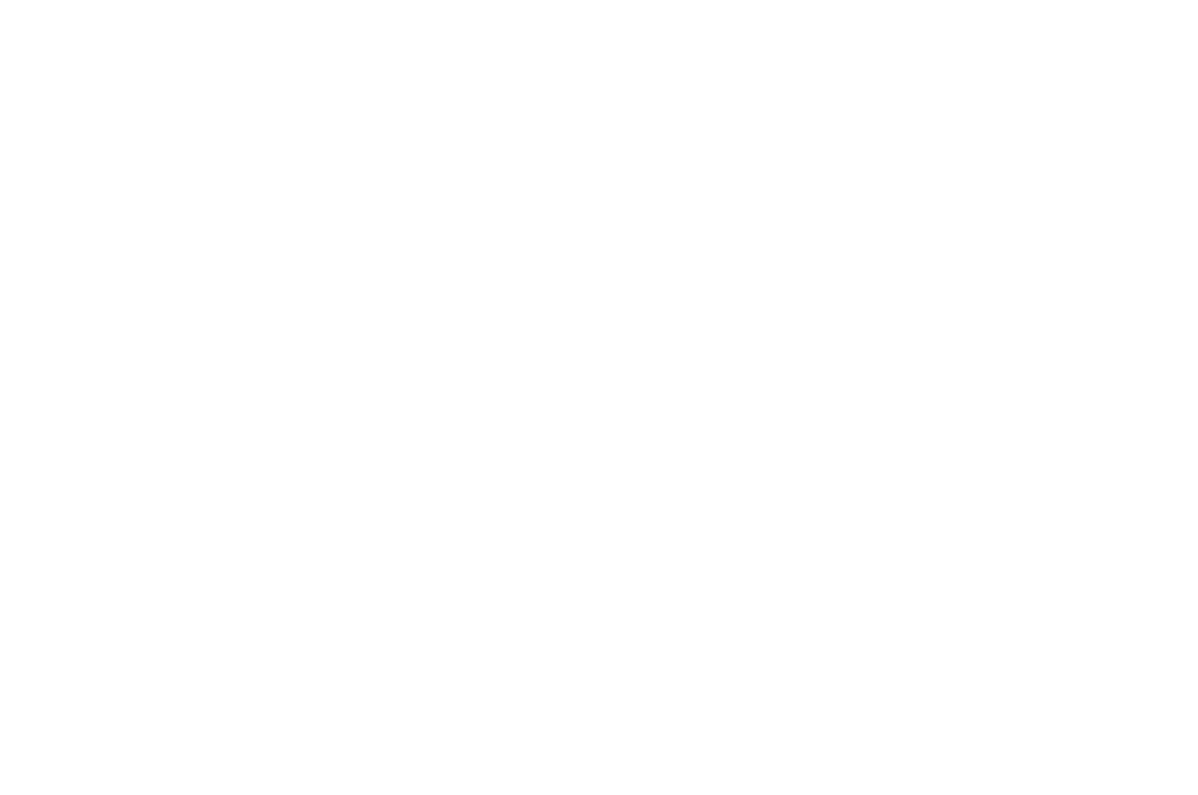 Festival 11