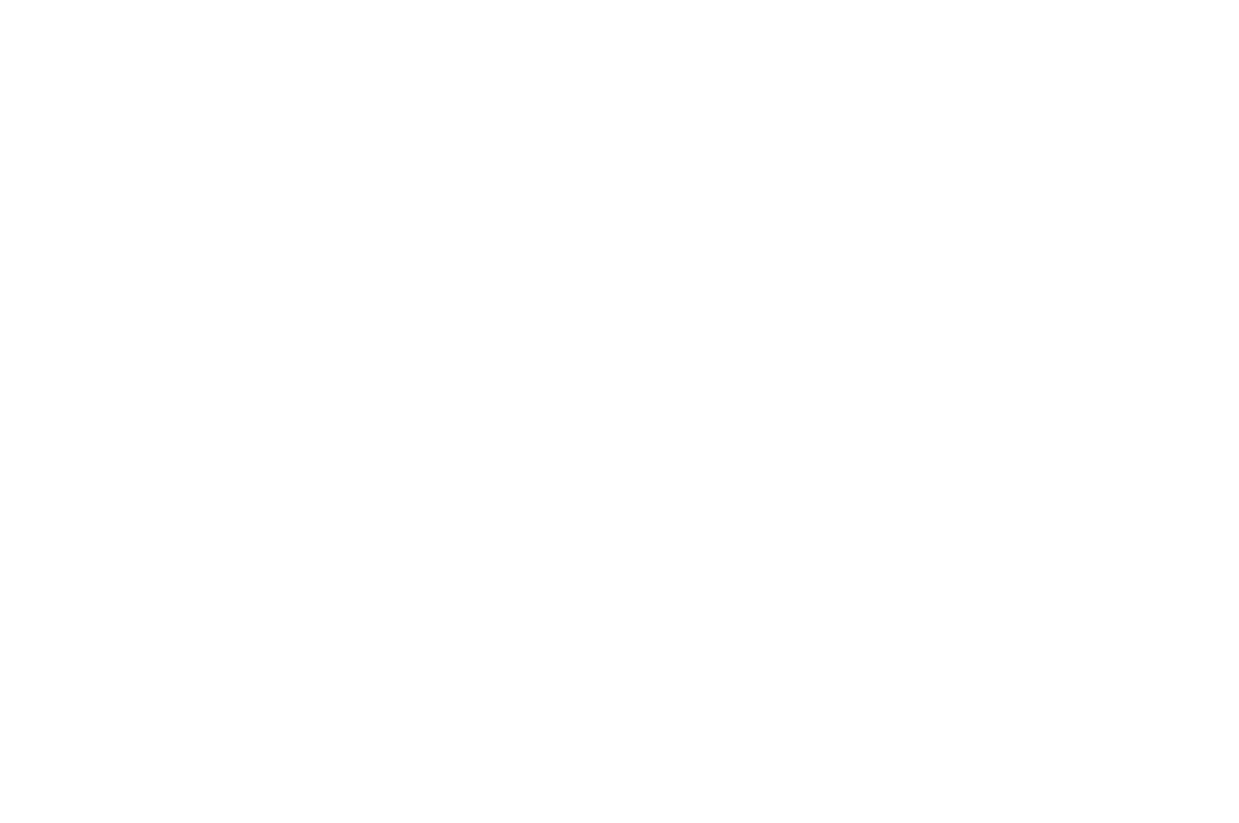 Festival 20