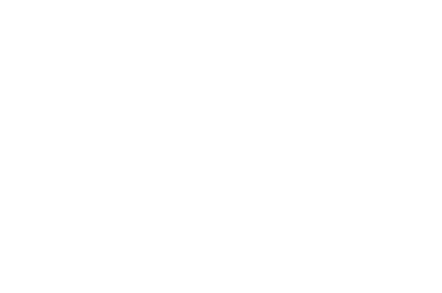 Festival 4