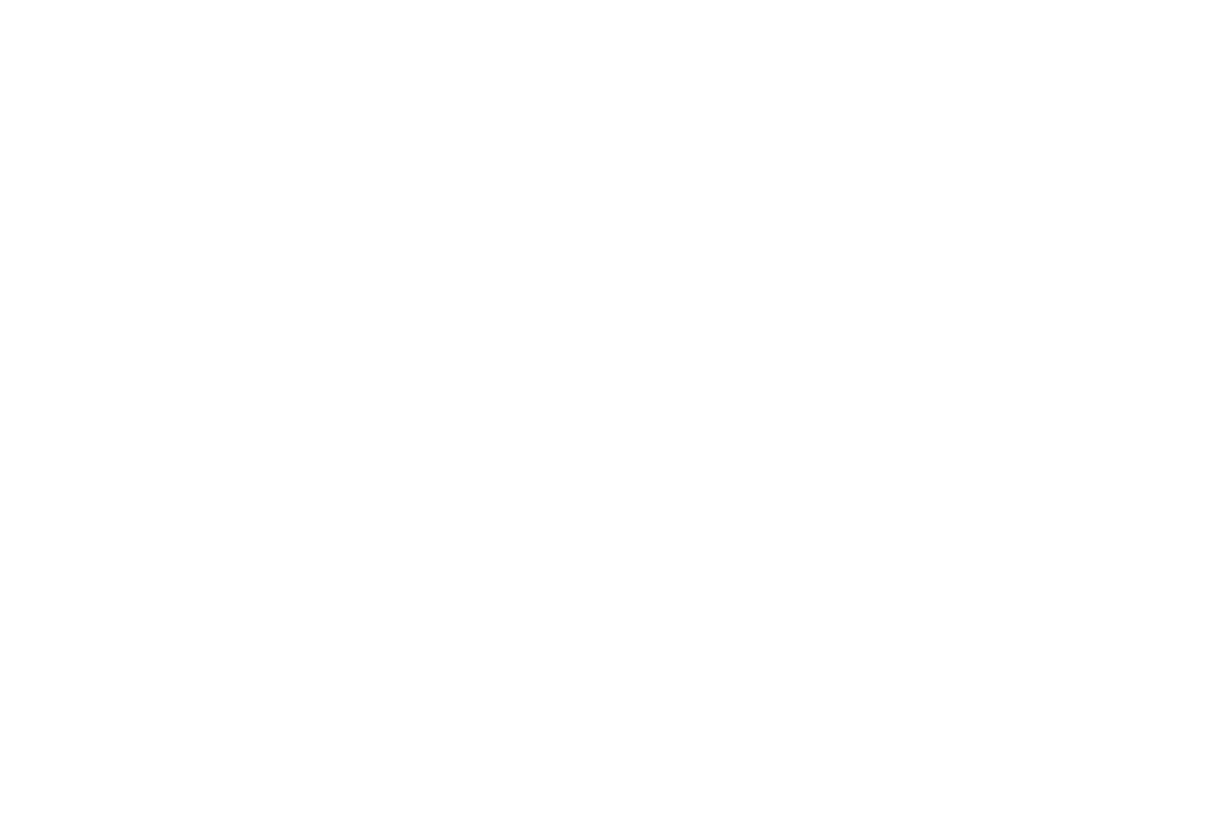 Festival 5