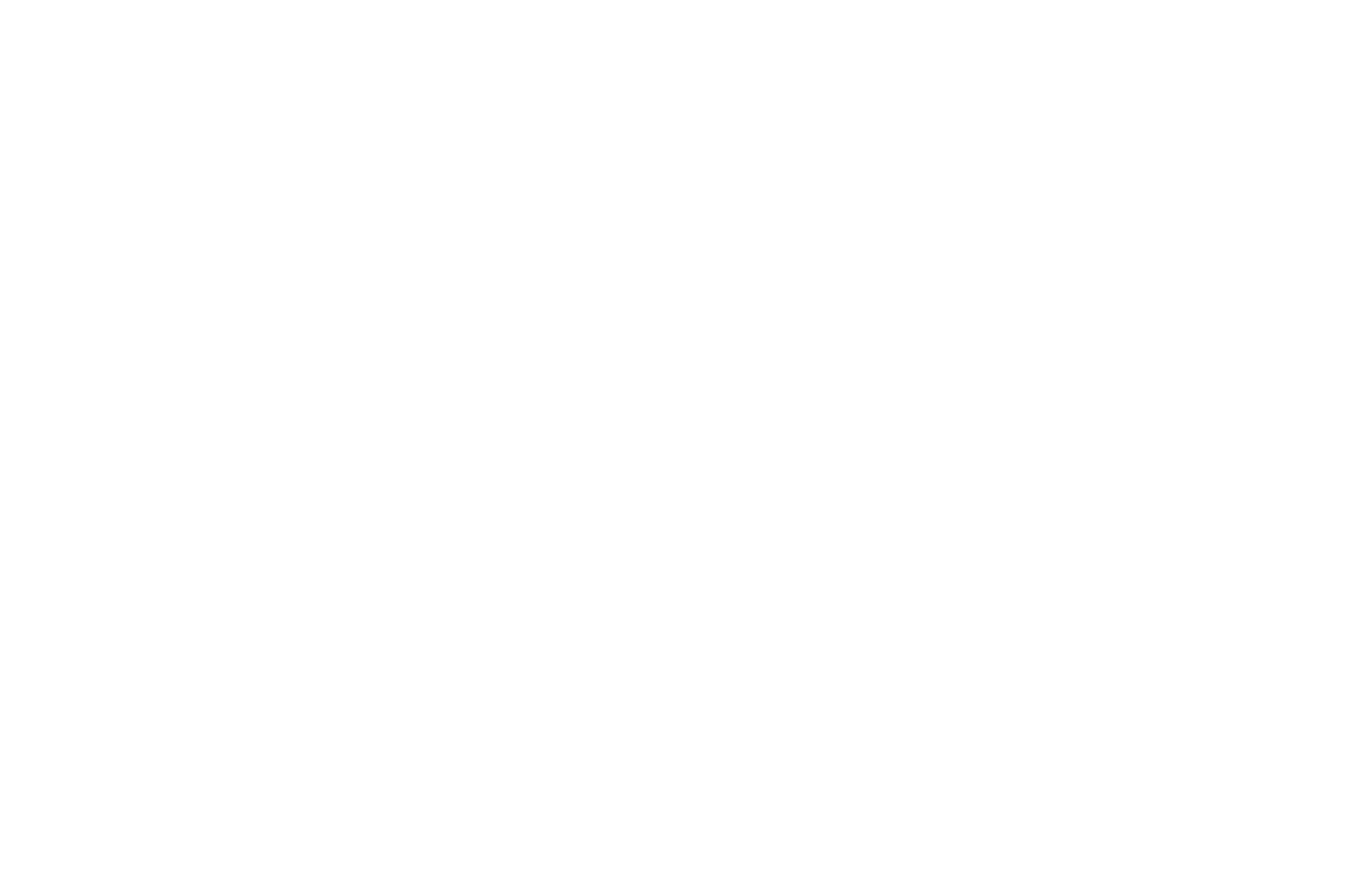 Festival 7